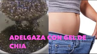 Bloquea la GRASA y el AZÚCAR con Gel de SEMILLA DE CHÍA  Lose Weigh With CHIA [upl. by Donoghue301]