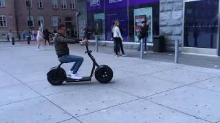 ZIMO Fat Tire Citycoco Scooter E1 [upl. by Filahk]