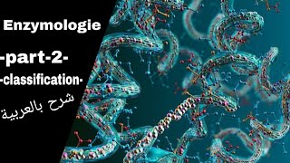 Part2  Enzymologie classification  درس الانزيمات بالعربية [upl. by Berkly]