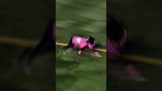 New World record 109 yard frisbee dog [upl. by Aleacim155]