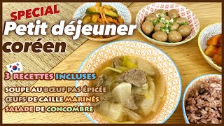 Petit déjeuner coréen en 3 recettes  soupe au bœuf œufs de caille marinés et salade de concombre [upl. by Eidda]