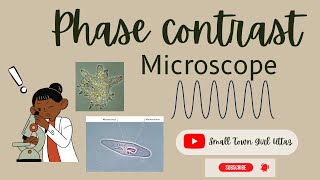 Phase Contrast Microscopy notes  Tamil  Biology  Biotechnology Tamil Biotechnologytamil [upl. by Hurleigh919]