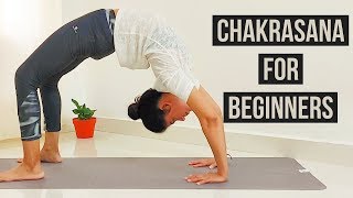 Chakrasana for Beginners l with preparatory poses l Archies Yoga [upl. by Bearce]