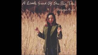 Satoko Ando – A Little Seed Of One Big Tree Full Album 1999 [upl. by Arted237]