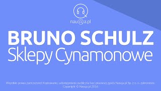 SKLEPY CYNAMONOWE – Bruno Schulz – streszczenie i opracowanie lektury  audiobook nauqa [upl. by Ever]