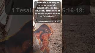 fe biblia reflexiones  oración citasbiblicas diosteama citasbíblicas oracion dios [upl. by Javler]