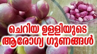 ചെറിയ ഉള്ളിയുടെ ആരോഗ്യഗുണങ്ങൾ  Health Benefits of Small Onions  TASTY WORLD [upl. by Ayal180]