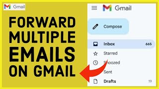 How to Forward Multiple Emails at Once in Gmail 2024 [upl. by Korwin]