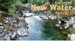 Fly Fishing The Western Cascades Of Oregon for Rainbow Trout EuroNymphing [upl. by Anawaj]