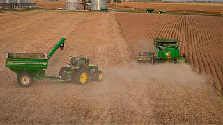 Harvesting Soybeans amp Pulling Piglets [upl. by Lim]