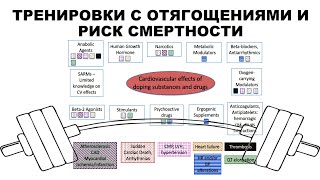 ТРЕНИРОВКИ С ОТЯГОЩЕНИЯМИ И РИСК СМЕРТНОСТИ [upl. by Mungo48]