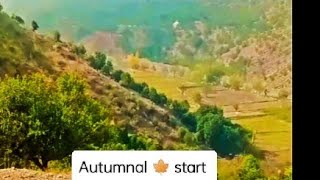 Autumnal season start in Waziristan DwatoiGood viewnatural beauty mountains مظلوم وزیرستان [upl. by Anidan]