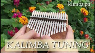 TUNE your Kalimba  17Key [upl. by Dunton]