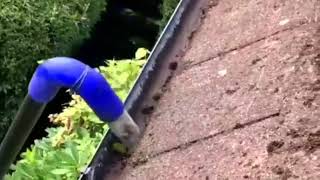 Swansea Gutter Cleaning with Skyvac [upl. by Head879]