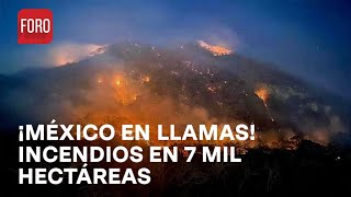 Incendios forestales en México cubren más de 7 mil hectáreas  En Una Hora [upl. by Anerec]