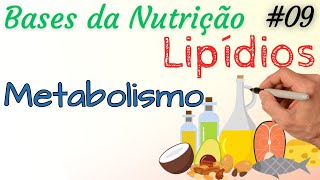 LIPÍDIOS Metabolismo  Lipólise Lipogênese Beta oxidação  Bases da Nutrição 09 [upl. by Etnecniv]