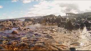 Rock fishing at Merimbula Crazy feeding frenzy and pylon fishing [upl. by Zurkow]