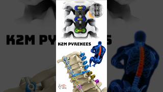 K2M Pyrenees 3d animation short  Learn Biology with Aliya [upl. by Lozar825]