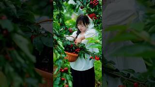 Harvesting some fresh and delicious fruits 😋🍒🥭🍎🍓shorts nature fruit [upl. by Aloke]