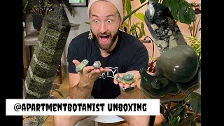 Crystal Unboxing from Apartment Botanist [upl. by Grange761]