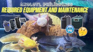 Axolotl Required Equipment and Maintenance Care Guide  Axolotl Philippines [upl. by Vern]