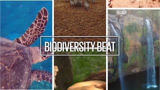 Biodiversity Beat Nairobi Meetings 2024 Overview on Day 1 13 May 2024 [upl. by Christan912]