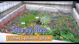 Creating a Pollinator Garden Step by Step Guide [upl. by Menides]