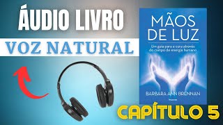 MÃOS DE LUZ AUDIOBOOK  VOZ NATURAL  CAPÍTULO 5 INVESTIGAÇÃO CIENTÍFICA NO CAMPO DA ENERGIA HUMANA [upl. by Uchida71]