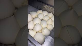 ⚡⚡ Paneer Making Process⚡⚡ shorts telugufoodie esangathulu streetfood foodie omelette [upl. by Ripley]