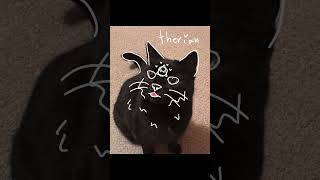 For my black Cat therians niks151282cat music art therian cattherian [upl. by Hodges366]