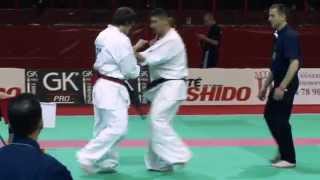 Ieromenko Vs Gogonel  Kyokushin European Championship [upl. by Neyud]