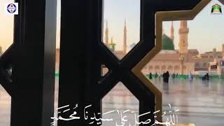 salle ala pukaro sarkar aa rahe hain naaturdulyrics eidmiladunnabi [upl. by Sanborn934]