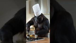 Gorillas actually learned how to cook funnyanimal funny shots pets [upl. by Achilles]