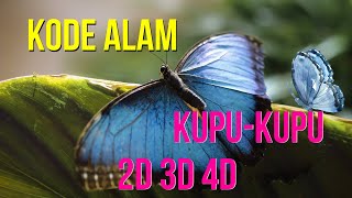 EREK EREK KUPU KUPU 2D 3D 4D  KODE ALAM KUPU KUPU  TAFSIR MIMPI KUPU KUPU [upl. by Jerry]