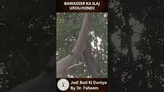 Bawaseer Ka Ilaj UrduHindi  Piles Treatment Fahim Herbalist [upl. by Lilla]