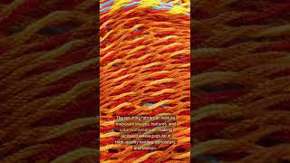 Unlocking Jacquard Weave How to Create Stunning Patterns and Designs [upl. by Ylevol]