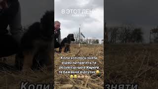 Щоб зняти повне відео завжди було купа експромтів 😆😆😆 [upl. by Wagstaff]