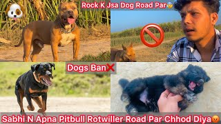 Same Rock K Jsa Pitbull Chhod Diya Kise N Raod Par😢Dogs Ban Hone Ki Vjh Se🐶🚫 [upl. by Aubert922]