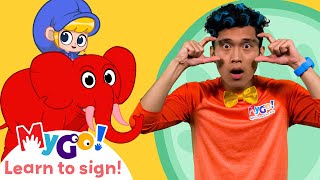 Learn Sign Language with Morphle The Giant Zoo Animals  MyGo  ASL for Kids [upl. by Harwilll]