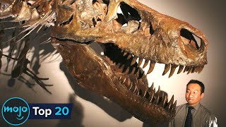 Top 20 Biggest Dinosaurs to Have Ever Existed on Earth [upl. by Kinnard]