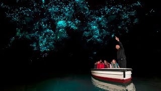 Discover Waitomo Glowworm Caves  New Zealand [upl. by Gerardo]