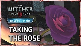 Witcher 3 Take the Rose from Iris  Olgierds Reaction Hearts of Stone Expansion [upl. by Hesketh]