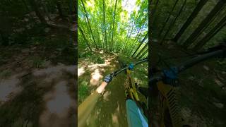 The Flowiest of the Flow in this little town mtb mountainbike mountainbiking [upl. by Seidule]