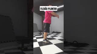 FLEXÃO PLANTAR academia fitness [upl. by Lahcsap410]