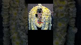 Murugandevotional kiruthigaimuruga [upl. by Nagram]