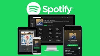 Das Große Spotify Tutorial Alles was du wissen musst [upl. by Shantee]