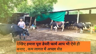 Small Dairy Farm Business Plan Kese banaye dairy farm shed dairy farming business [upl. by Niliac]