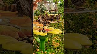 While butterfly eating food Whilebutterflyeatingfood shorts theworldlargestbutterflygarden [upl. by Yerkovich]