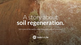 Soils For Life Documentary [upl. by Mylan]