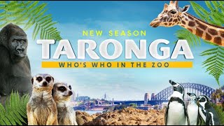 Taronga Whos Who in the Zoo season 4 promo [upl. by Addam]